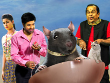 Eluka Majaka New Photos